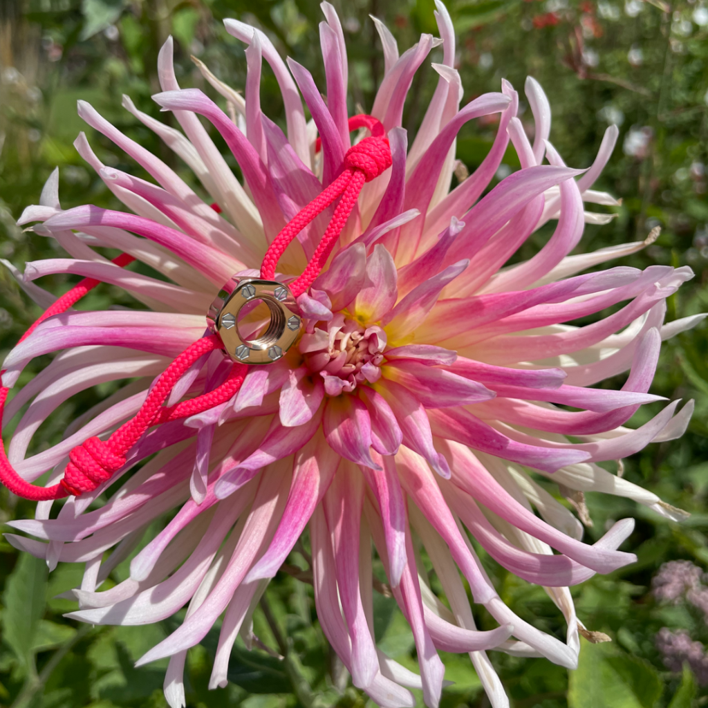 Galerie Photo instagram 12